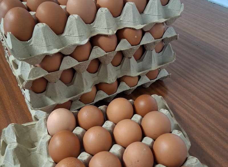 Mucho más que huevos: huevos que tienen mucho que contar